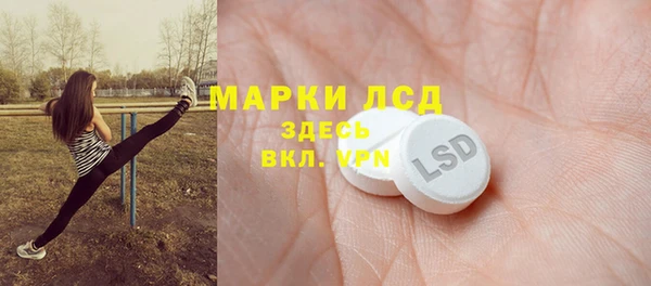 гашик Пересвет