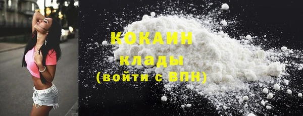гашик Пересвет