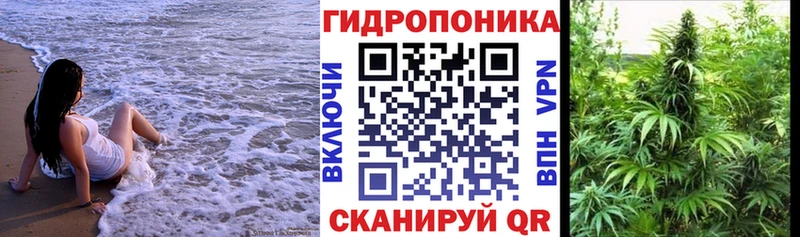 МАРИХУАНА сатива  продажа наркотиков  Грайворон 